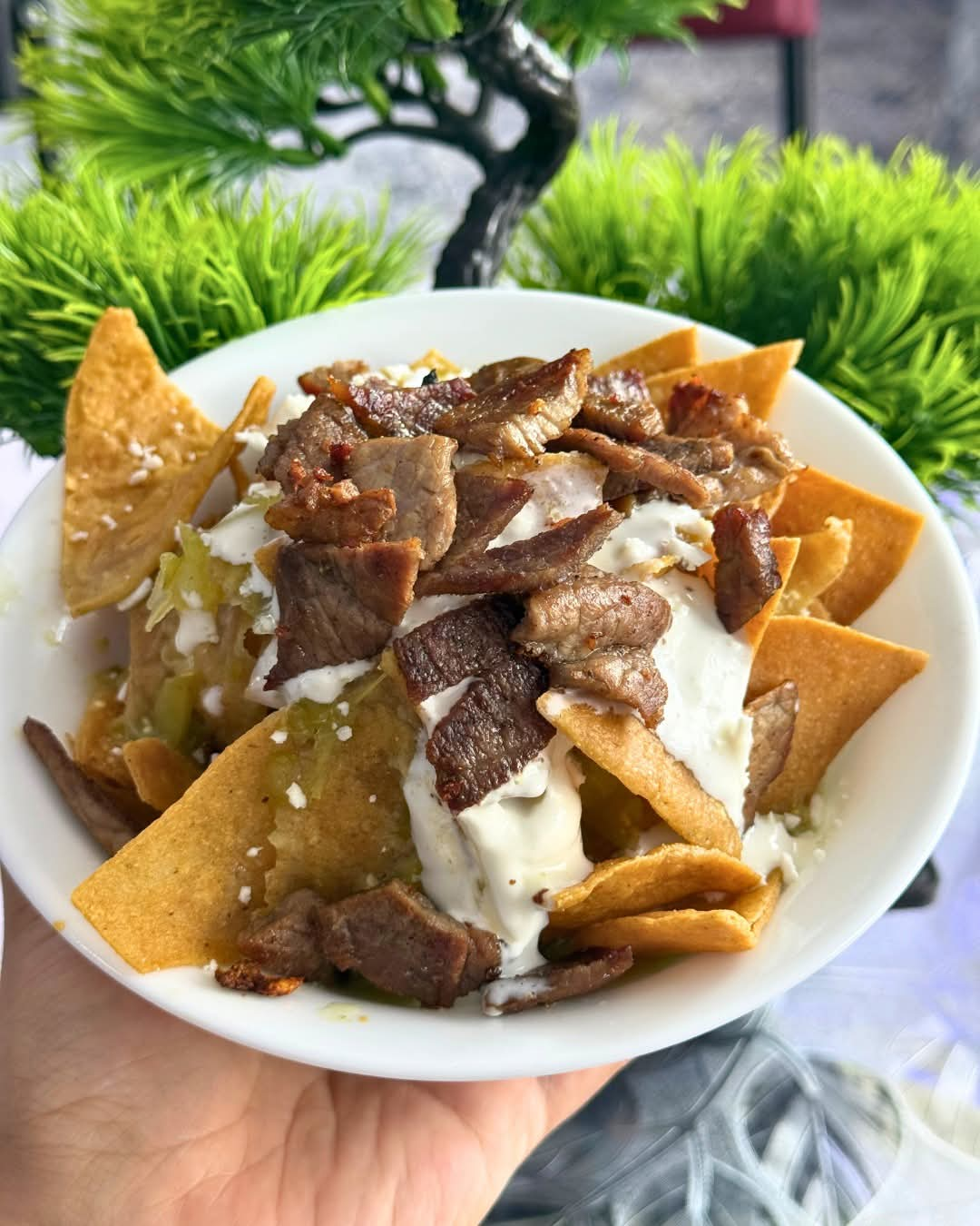 Chilaquiles Ricón